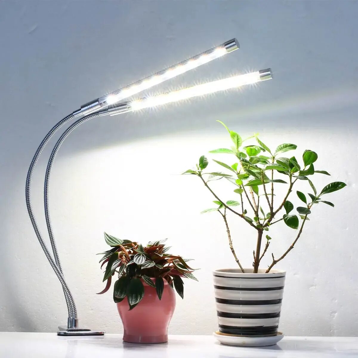 Фито светодиодные лампы. Фитолампа led grow Light. Фито светильник для растений. "Полный спектр - 20 ватт". Фитолампа для фикуса. Фитолампа для бонсай.