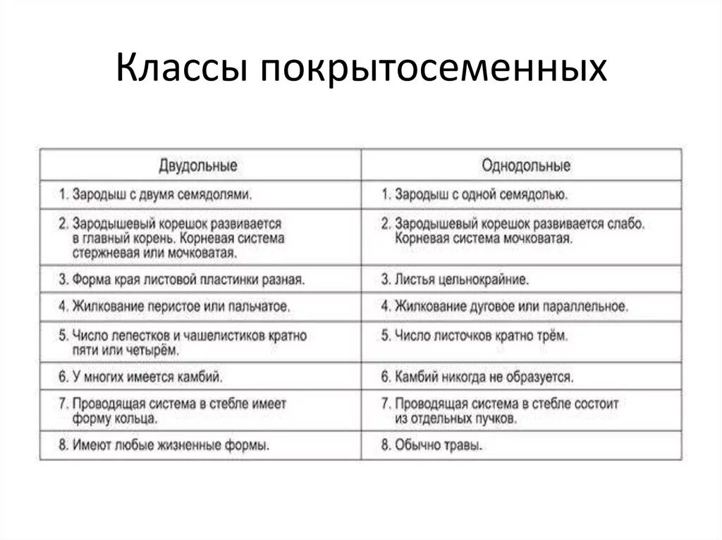 Различие классов однодольные и двудольные. Характеристика классов однодольных и двудольных растений таблица. Сравнительная характеристика однодольных и двудольных растений. Таблица Однодольные и двудольные растения 6 класс. Сравнение однодольных и двудольных растений таблица.