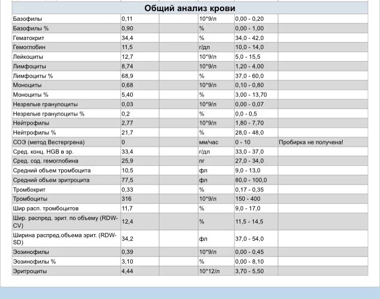 Сколько в норме должно быть соэ