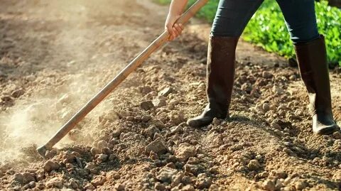 Digging глагол