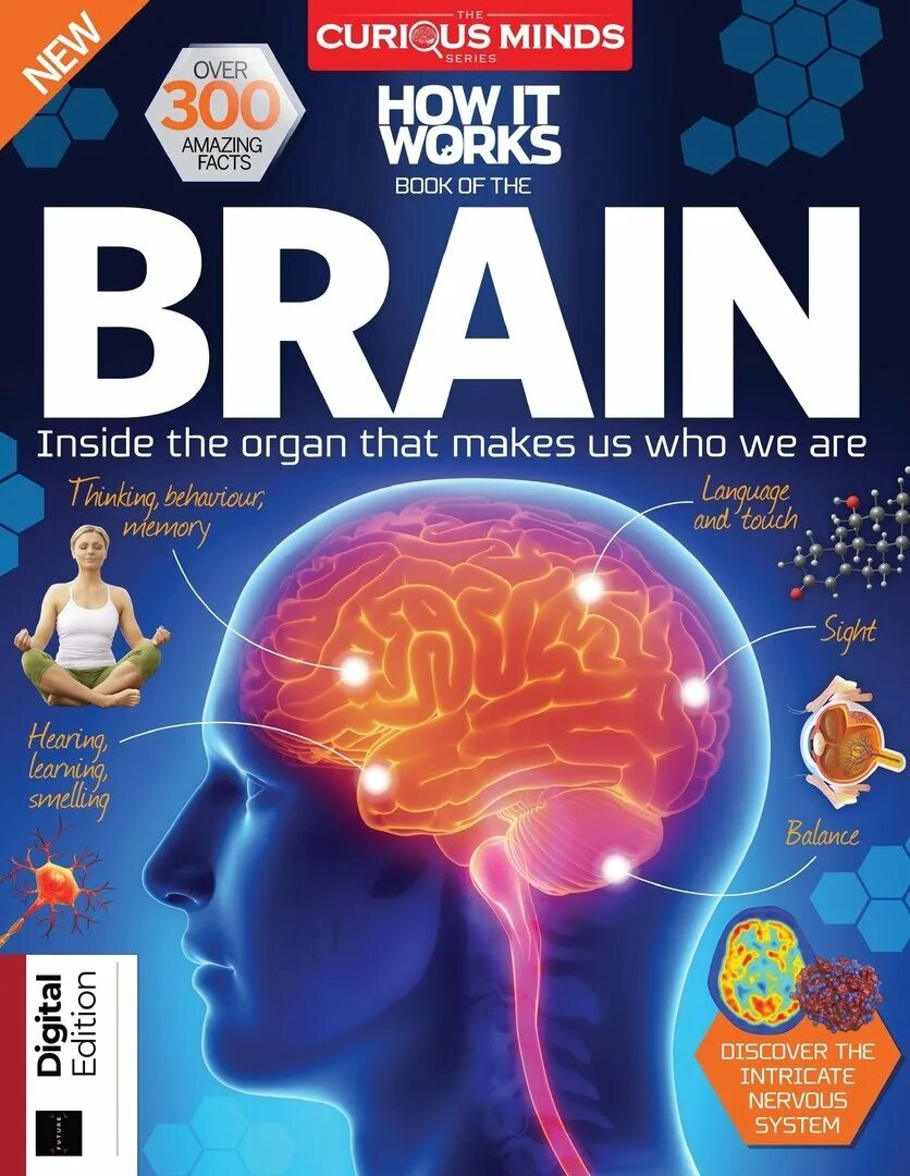 The brain 7. Журнал brain. журнал о мозге. книга мозг. it works book.