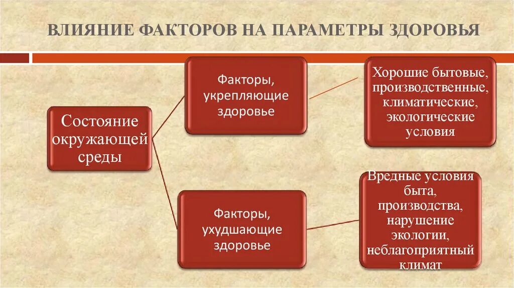 Параметры здоровья. Факторы влияющие на волосы. Факторы влияющие на выбор каналов распределения. Факторы влияющие на волосы. Факторы влияющие на состояние волос.
