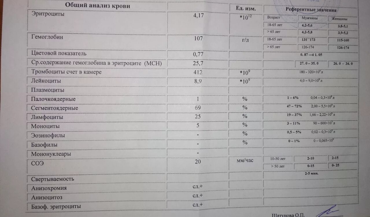 Анализ крови покажет воспалительный процесс. Лейкоцитоз анализ крови показатели. Общий анализ крови лейкоциты норма. Общий анализ крови с лей. Общий анализ крови свертываемость.