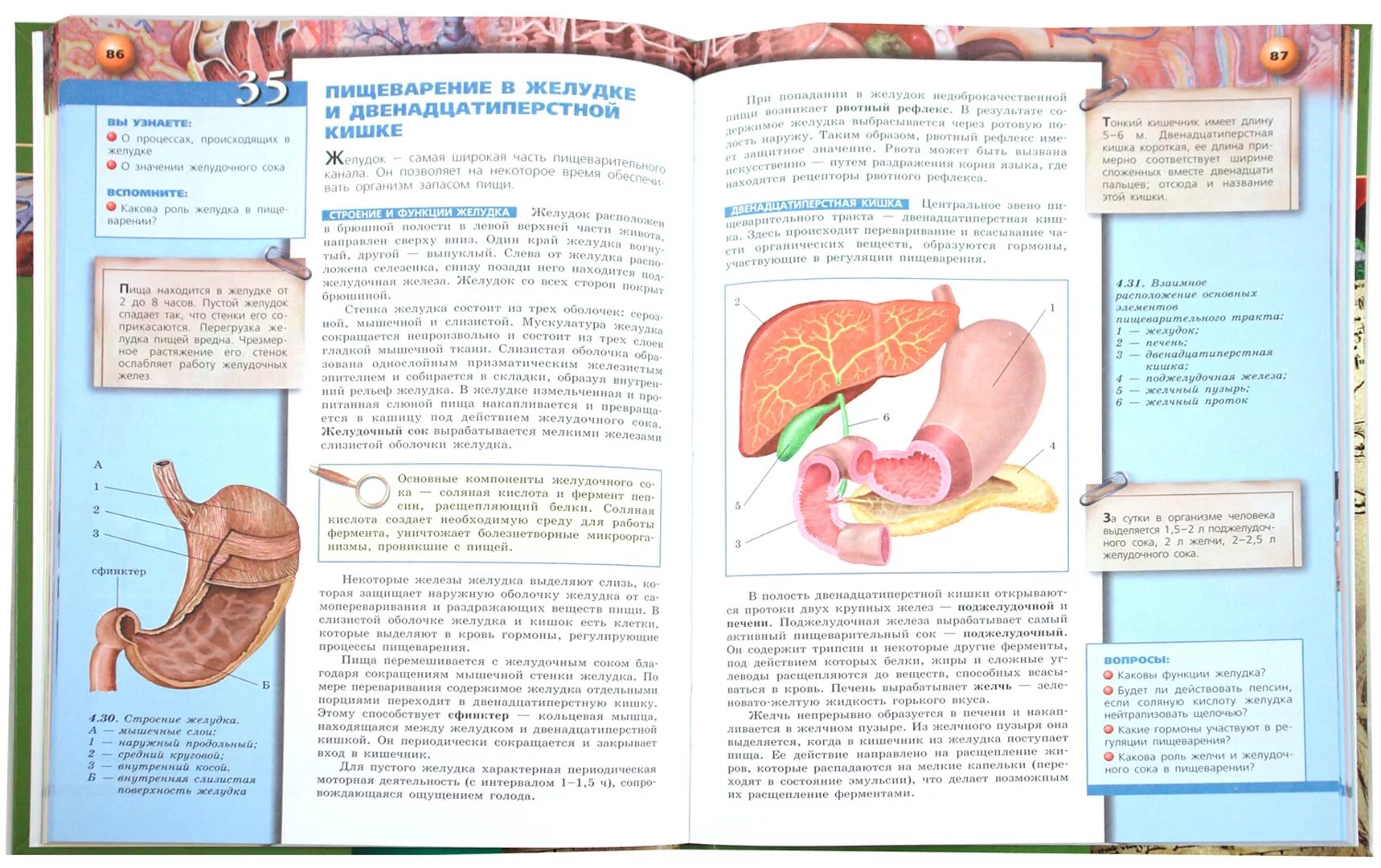 Биология 8 бодрова. Биология. 8 класс. учебник. биология человека учебник. учебник по биологии человек. биология 8 класс учебник фгос.