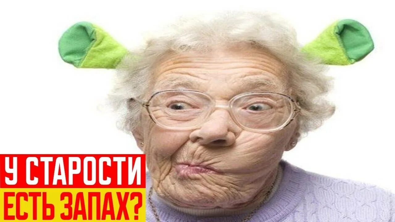 Запах старухи. Старушки хулиганки. Бабушка воняет. Бабушка воняет. Запах старости.