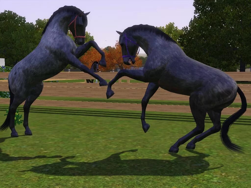 Horse sim. SIMS 3 Horse. SIMS 3 лошади. The SIMS 3 питомцы Андалузская лошадь. Симс 3 жеребята.