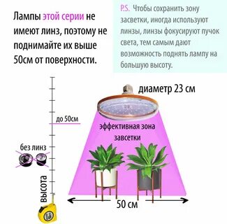 Высота лампы для растений
