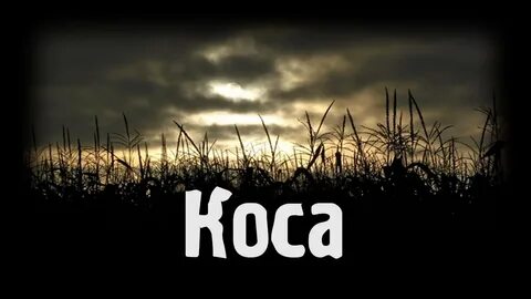 Страшные истории рей