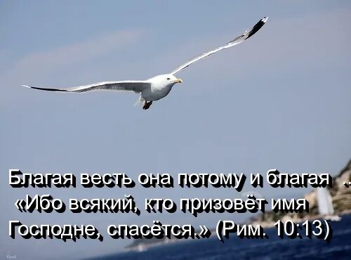 Благие вести картинки. Всякий кто призовет имя Господне спасется. Кто призовет имя Господне спасется. Всякий кто призовет имя Господне спасется Библия. Всякий призывающий имя Господне спасетс.