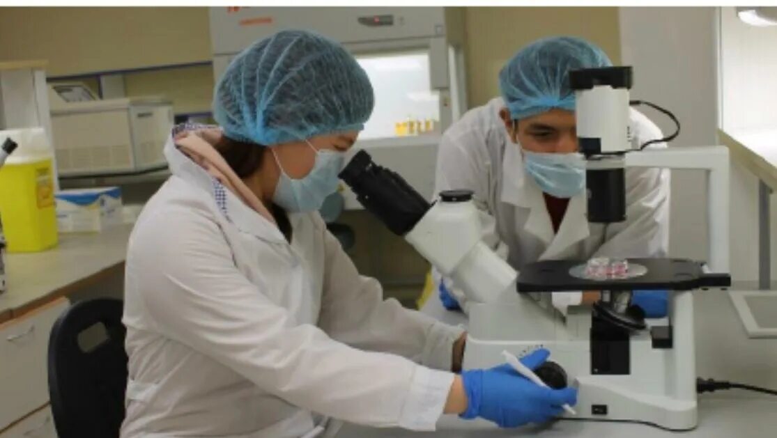 Исследование якутии. Якутск саха школьники. Современные достижения саха якутия. Исследователи якутского языка фото. Кузбасский технопарк презентация.