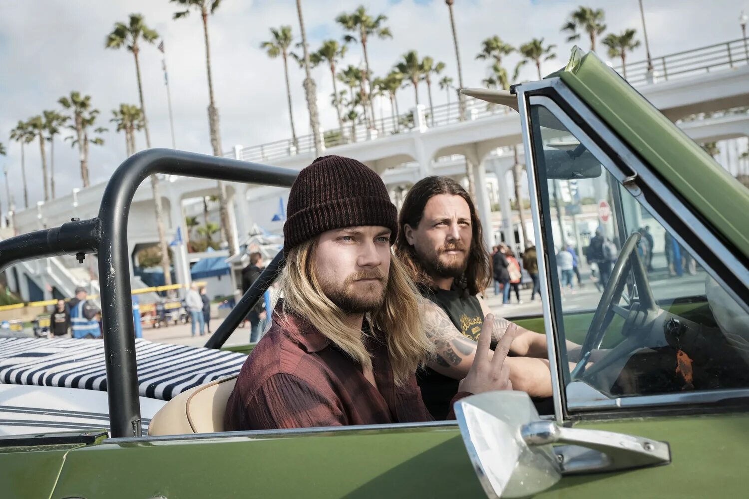 финн коул по волчьим законам. по волчьим законам джошуа. по волчьим законам (animal kingdom). по волчьим законам отзывы. царство животных по волчьим законам.