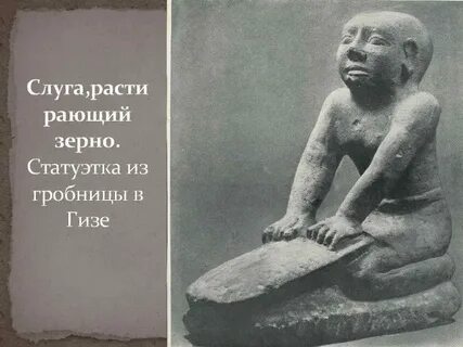 1 прокл нать вып рающий д рижер