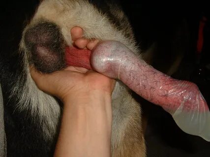 Huge dogcock