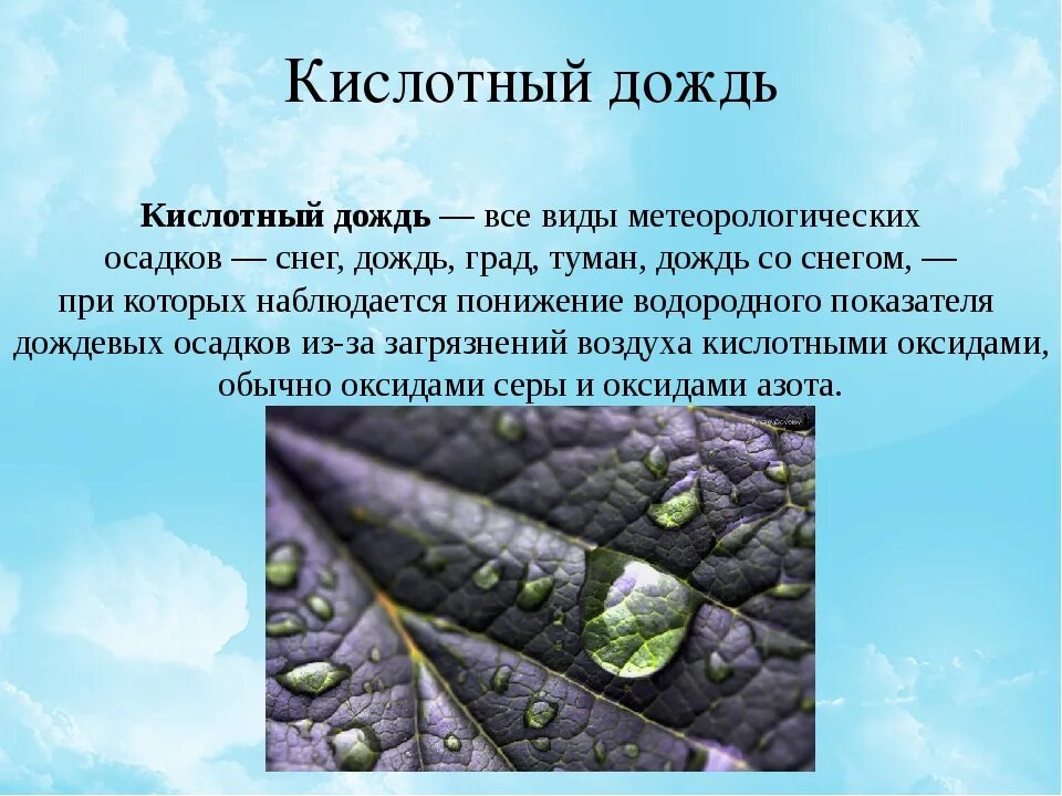 Какой вред приносит дождь окружающий мир. Кислотный дождь биология 5 класс. Кислотные дожди 6 класс география. Презентация на тему кислотные дожди. Кислотные дожди картинки.