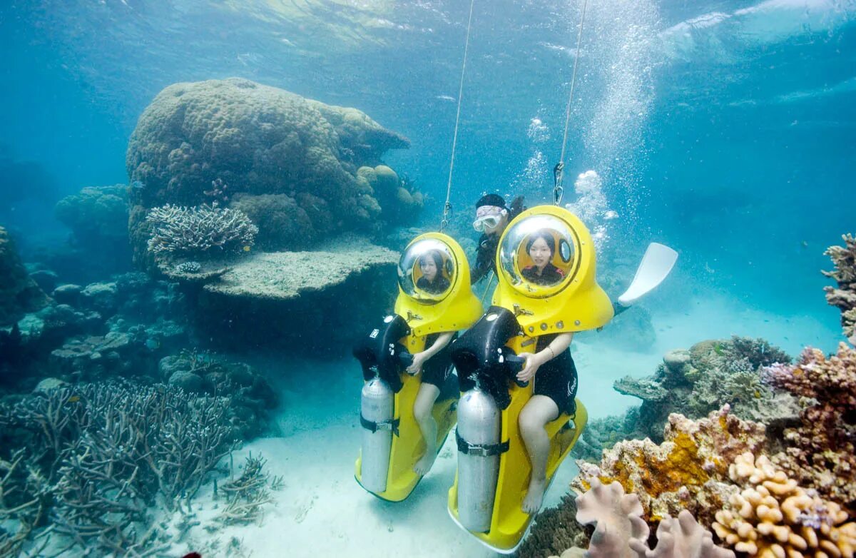 Reef tourism. Большой Барьерный риф туризм. Большой Барьерный риф акваланг. Great Barrier Reef Australia Scuba Diving. Большой Барьерный риф туристы.