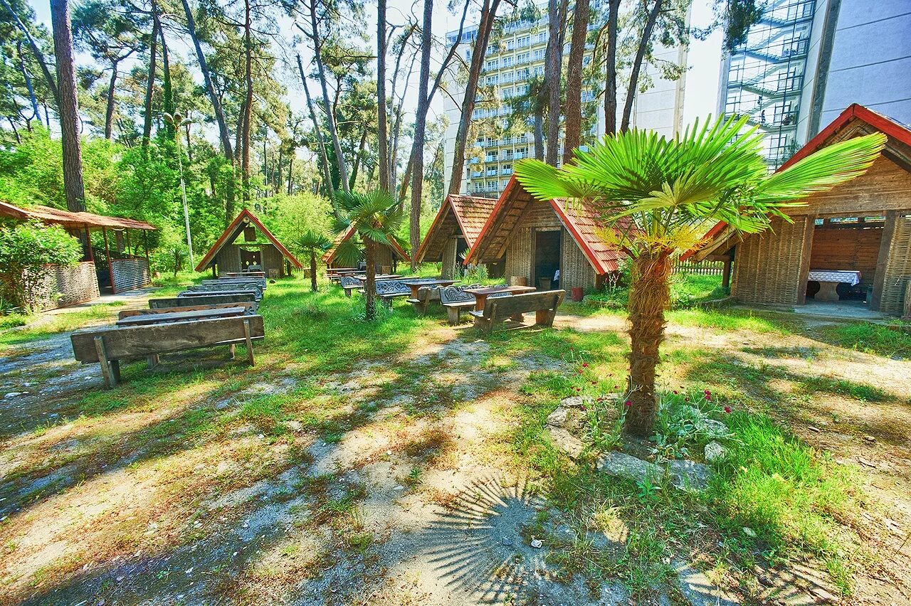 Золотая руна абхазия. Бзыбь абхазия пицунда. Пансионат опк пицунда абхазия. Пансионат опк пицунда абхазия. Оп пицунда золотое руно.