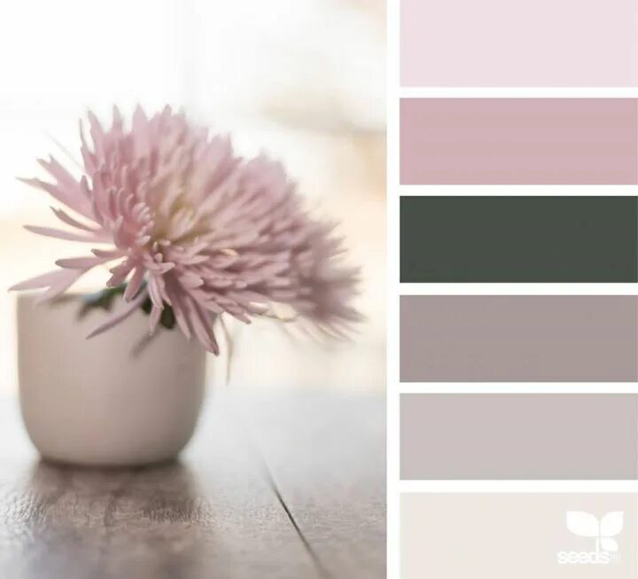 Гармония цвета. Black color palette, Color palette, Color balance