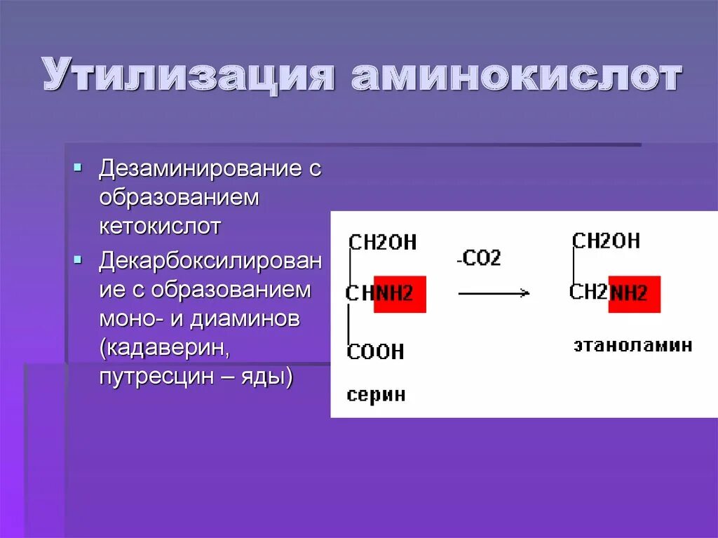 Обезвреживание аминокислот