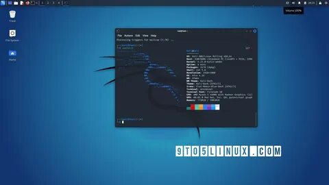 Kali linux pi