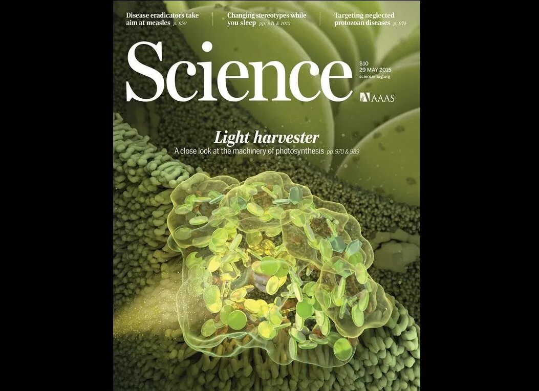 X science. Химия и биология. X science. Outer sans x science sans дети. Science book pdf.