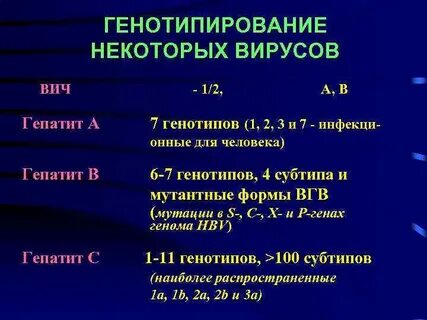 Генотип вируса гепатита b