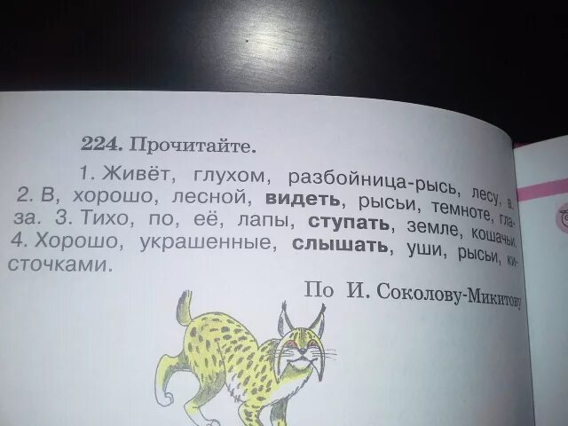 Хорошо слышат рысьи уши украшенные. Соколов Микитов Рысь разбойница. Соколов Микитов живет в глухом лесу разбойница Рысь. Живёт в в Глихом лесу разбойница Рысь. Логово рыси Соколов Микитов.