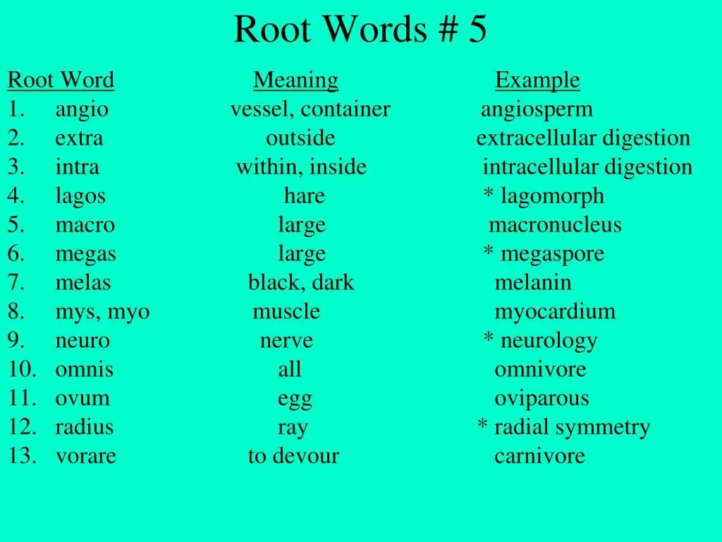 Words within words. Root Words. Root Words examples. Different root Word. Single - root Words.