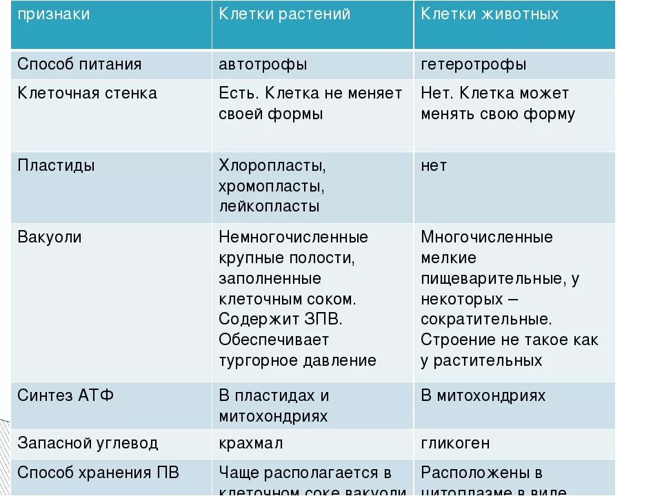 Выберите признаки растительной клетки. Способ питания растительной клетки. Типы питания клеток. Способ питания животной клетки. Тип питания растительной клетки и животной клетки.