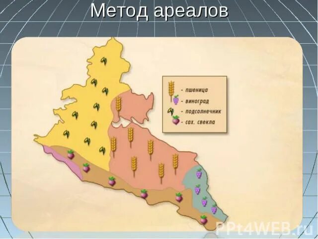 Ковид границы. Способ ареалов. Метод ареалов в картографии. Знак ареал. Постоянные и подвижные границы ареала.