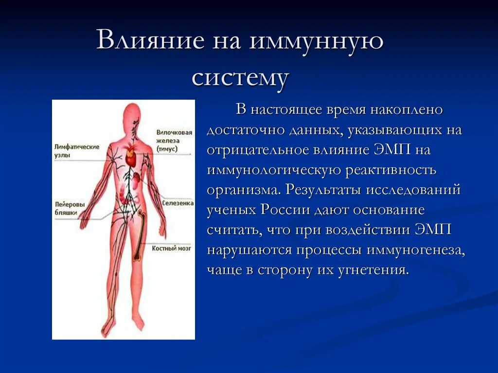 Эндокринная и иммунная система. Влияние электромагнитного поля на иммунную систему. Влияние на иммунную систему. Влияние электромагнитного излучения на иммунную систему. Влияние на нервную и иммунную систему.