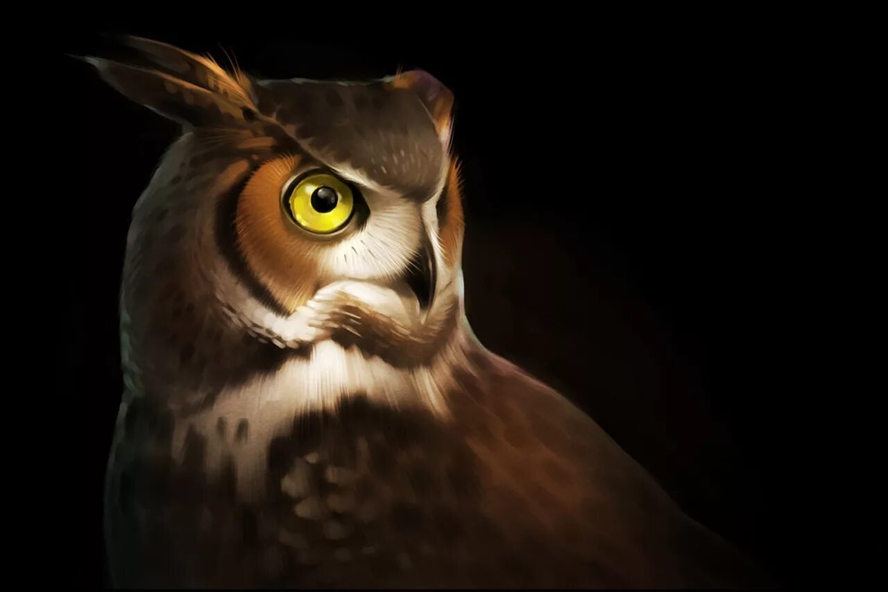 Сова х на андроид последняя версия. Arts owleagle филин вор. сова. глаза филина. сова арт.