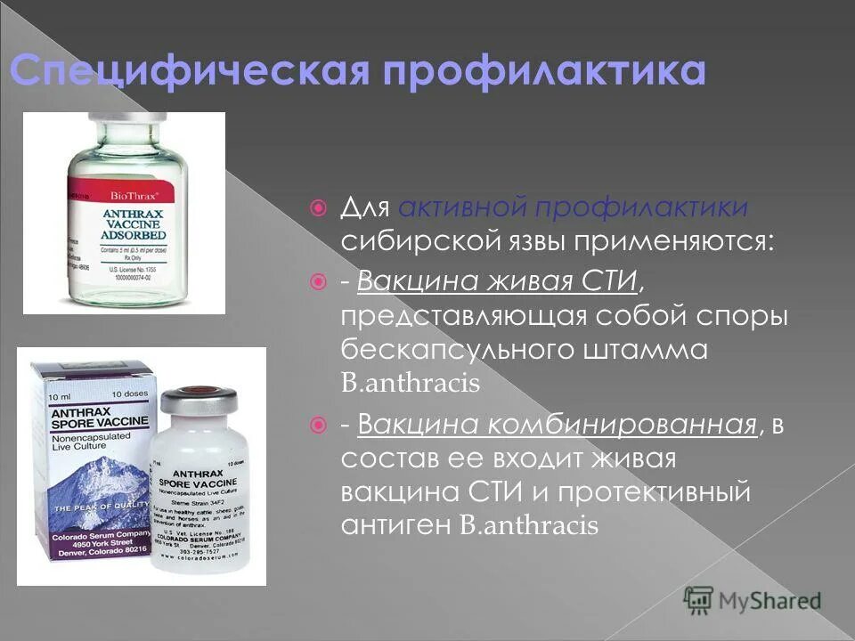 Вакцина живая против сибирской язвы. Живая сибиреязвенная вакцина сти микробиология. Специфическая профилактика сибирской язвы микробиология. Вакцина сибиреязвенная Живая сухая. Проводится ли специфическая профилактика сибирской язвы.