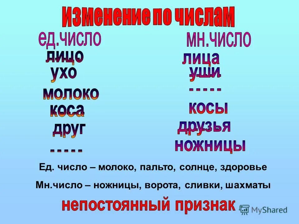 Морковь множественное число. Молоко единственное или множественное. Слово ножницы в единственном числе.