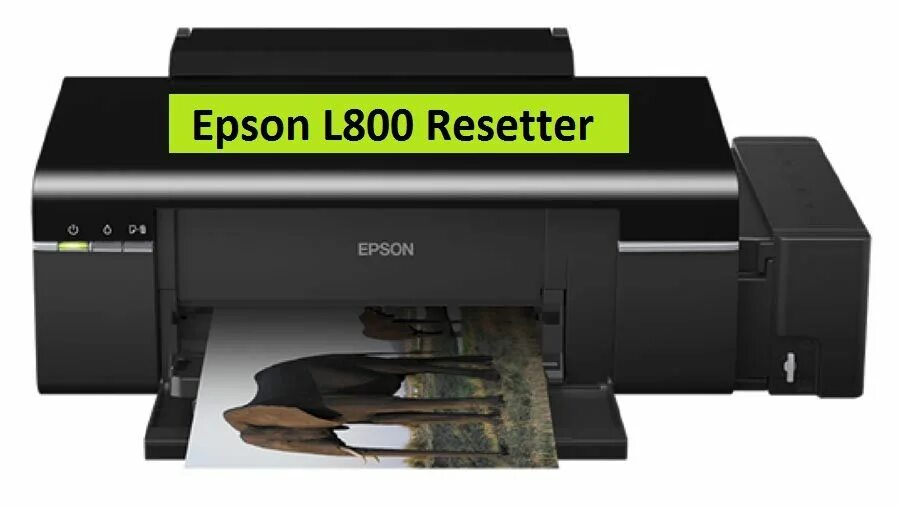 Купить л 800. Принтер Эпсон l800. Epson l l800. Принтер Эпсон л 850. Printer Epson 800.