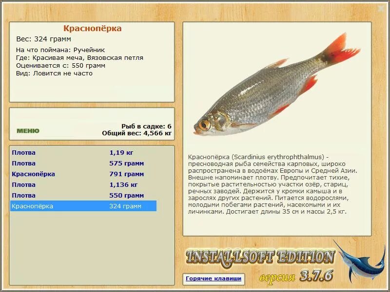 Сушеная рыба калории. Краснопёрка рыба сушеная. Краснопёрка рыба сухая. Русская рыбалка 3 1 красноперка. Чем питается красноперка.