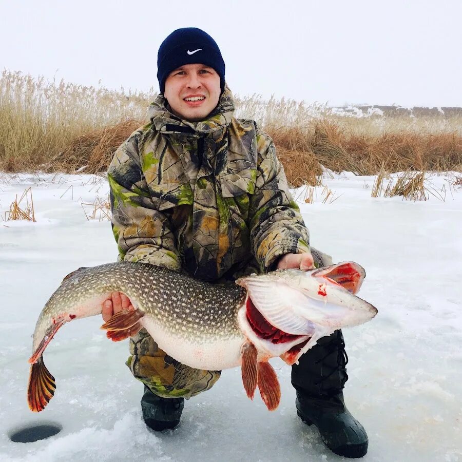 Рыбалка по волгоградски Fishing in Volgograd. Щука в Волгоградской области. Рыбы Волгоградской области. Зимняя рыбалка в Волгоградской области.