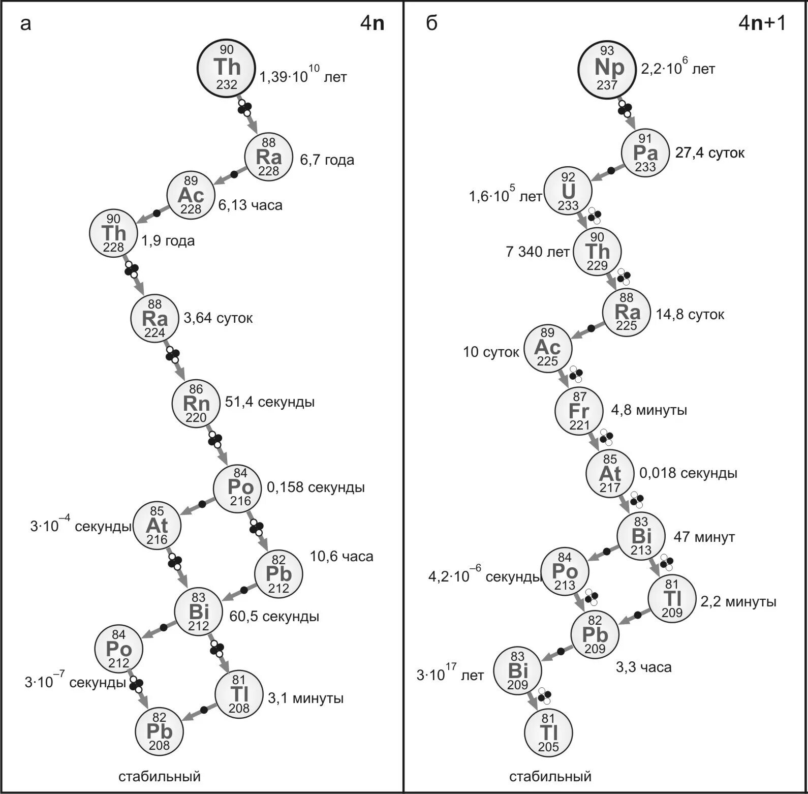Изотопы нептуния 237. Радиоактивное семейство тория 232. Радиоактивный распад урана 235 схема. Схема распада тория 232. Цепочка радиоактивного распада урана 238.