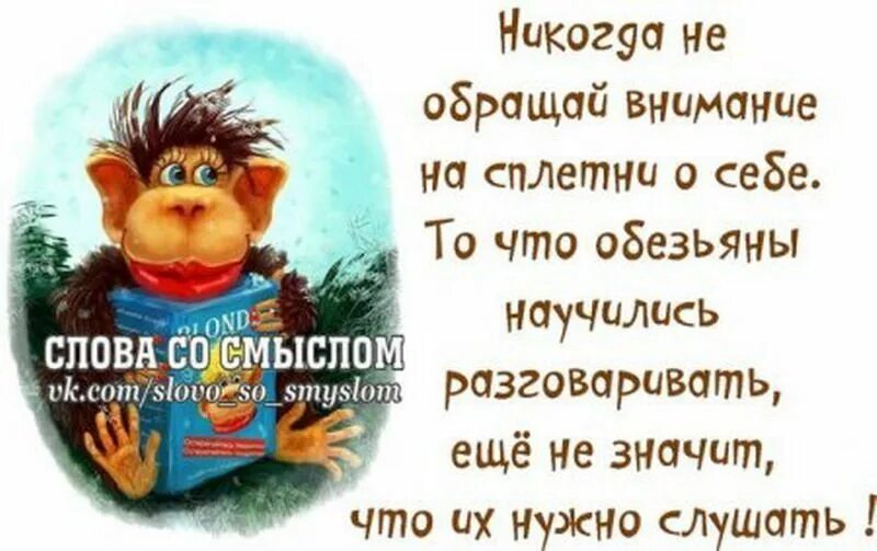 Будь проще не обращай внимание. Слова со смыслом. Смешные цитаты со смыслом. Открытки слова со смыслом. Веселые картинки со смыслом.