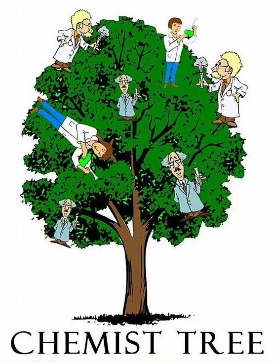 What tree is it