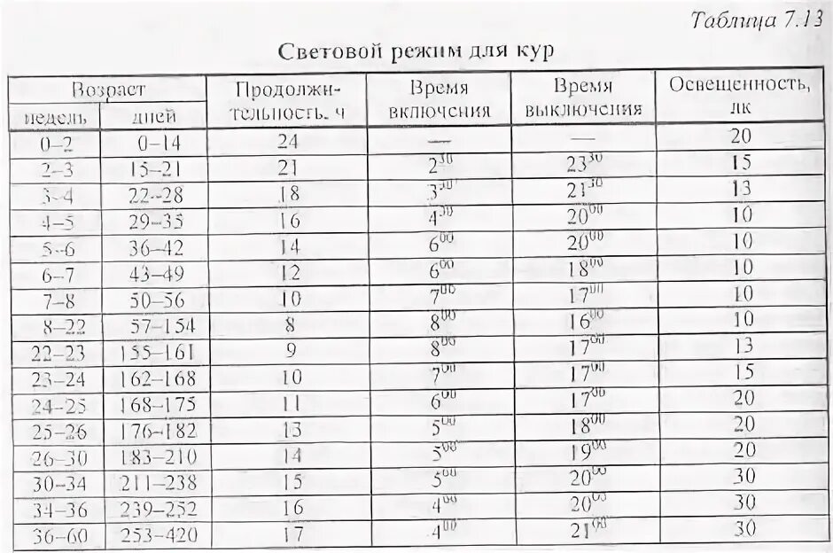 Выключать ли свет цыплятам на ночь. Таблица освещения для цыплят бройлеров. Режим освещения для цыплят несушек. Таблица света для цыплят бройлеров. Световой режим для цыплят несушек с первых дней.