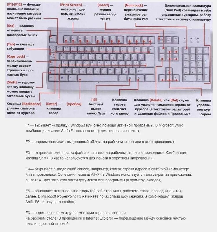 Определить нажатие клавиш. Функции клавиш f1-f12 на клавиатуре компьютера. Назначение кнопок на клавиатуре компьютера f1-f12. Назначение клавиш f1-f12 на клавиатуре. Назначение клавиш f1-f12 на клавиатуре ноутбука.