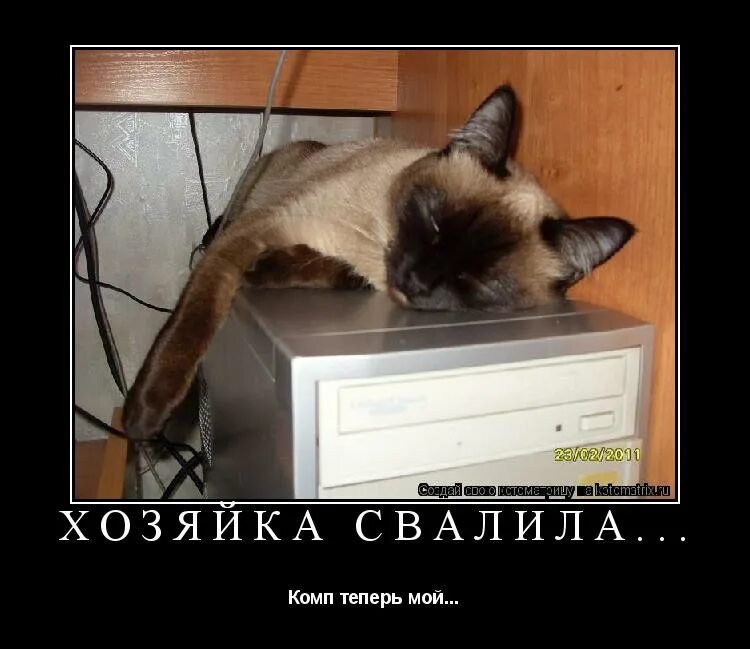 Ели сижу на работе. Это теперь мой комп. есть такая работа на работе сидеть. есть такая профессия на работе сидеть картинки. теперь компьютер только мой.