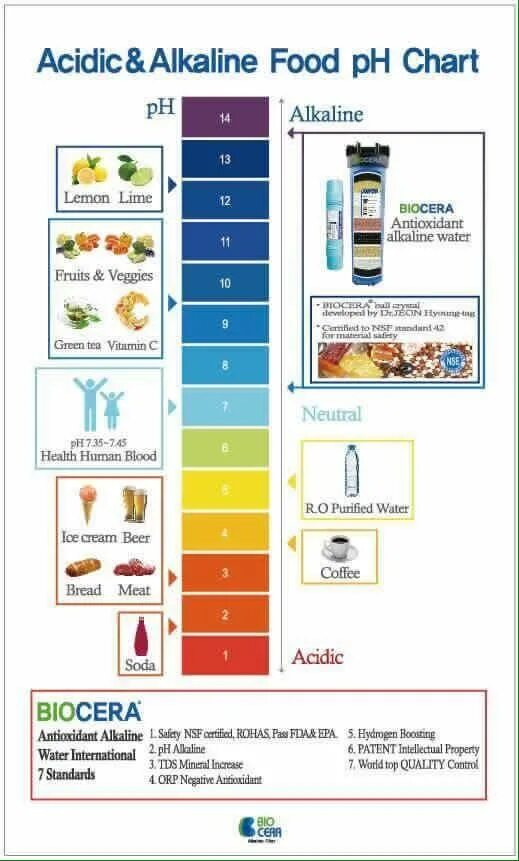 Alkaline перевод. Alkaline and acidic PH. Alkaline foods. Вода американская Alkaline. Nexa Alkaline nutrient Water.