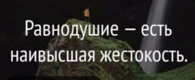 Равнодушие является. Равнодушие наивысшая жестокость. Равнодушие есть наивысшая жестокость.