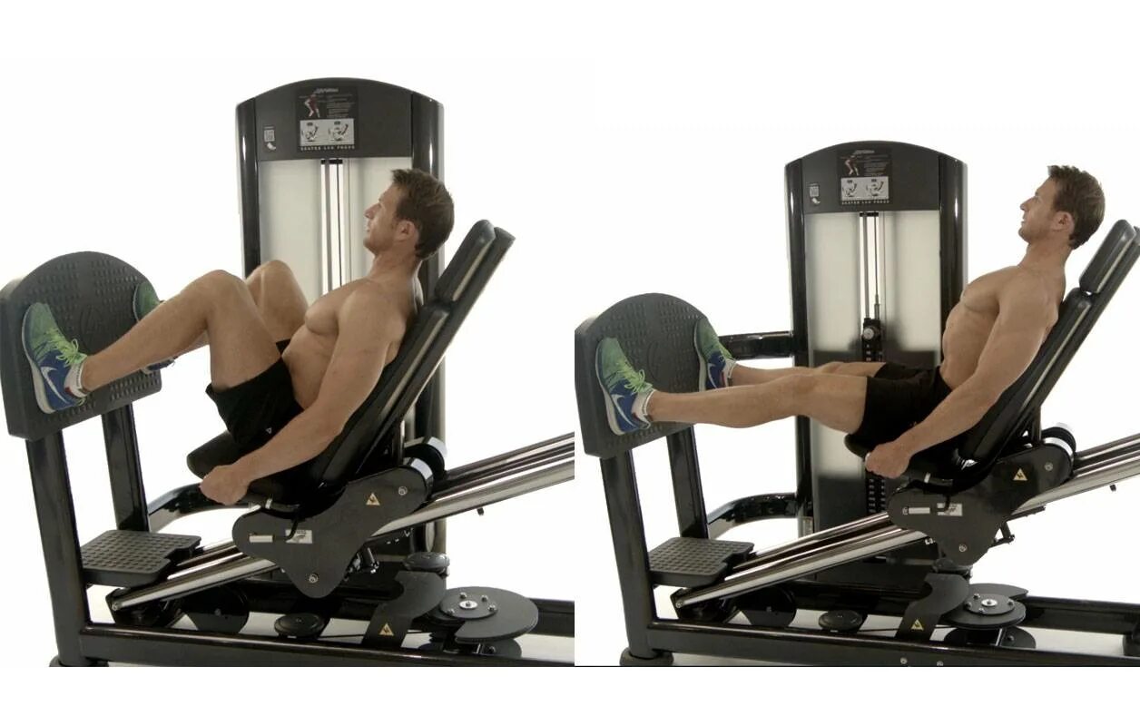 Как называется жим ногами. Тренажер жим ногами платформа. leg press тренажер техника. жим ногами bronze mnm-015. жим платформы technogym.
