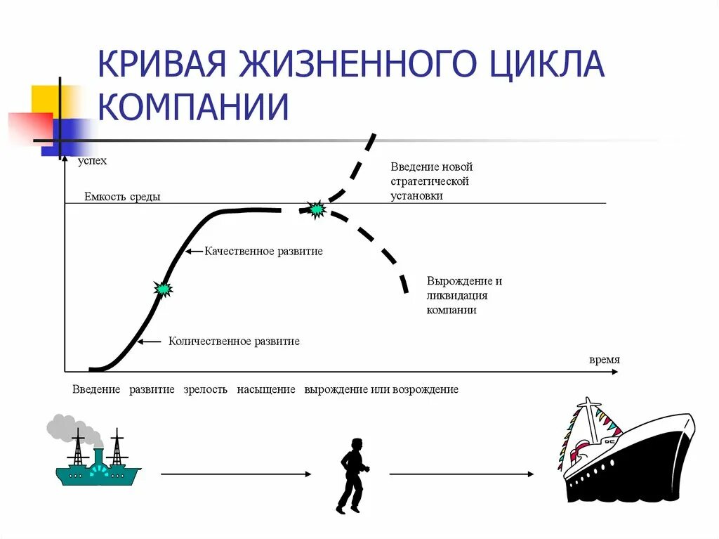 Жизненный цикл культуры