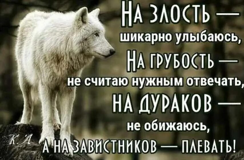 Нужно быть грубее. Афоризмы про хамство и грубость. Высказывания о хамстве. Афоризмы про дураков. Цитаты про грубость.