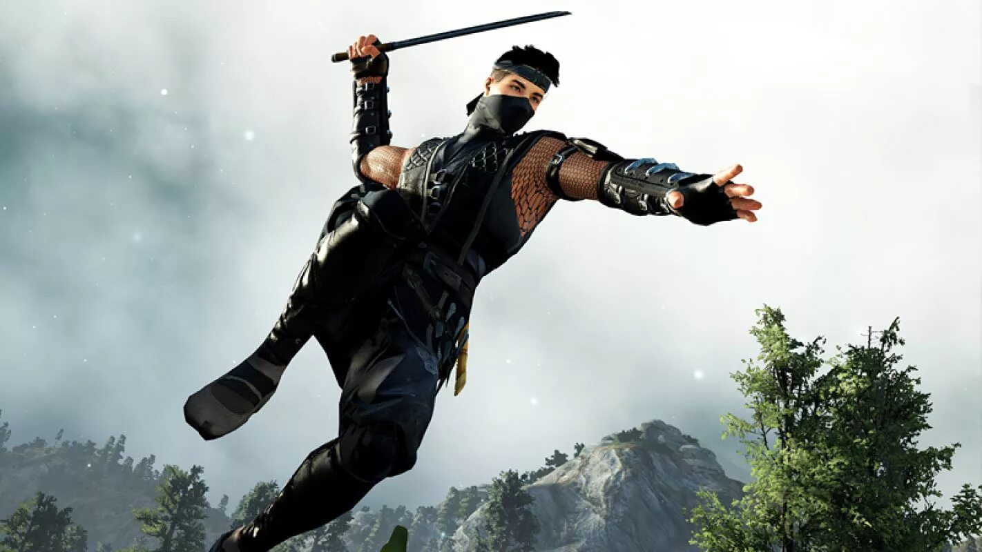 Ninja awakening