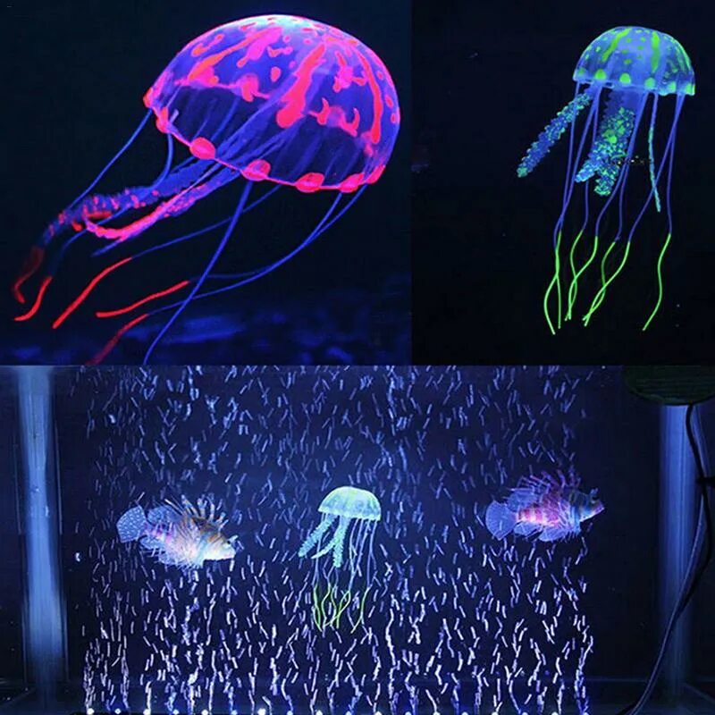 Медуза живая купить. Аквариум со светящимися медузами. Неоновый аквариум с медузами. Светящиеся медузы в аквариуме. Аквариум с медузами и рыбками.