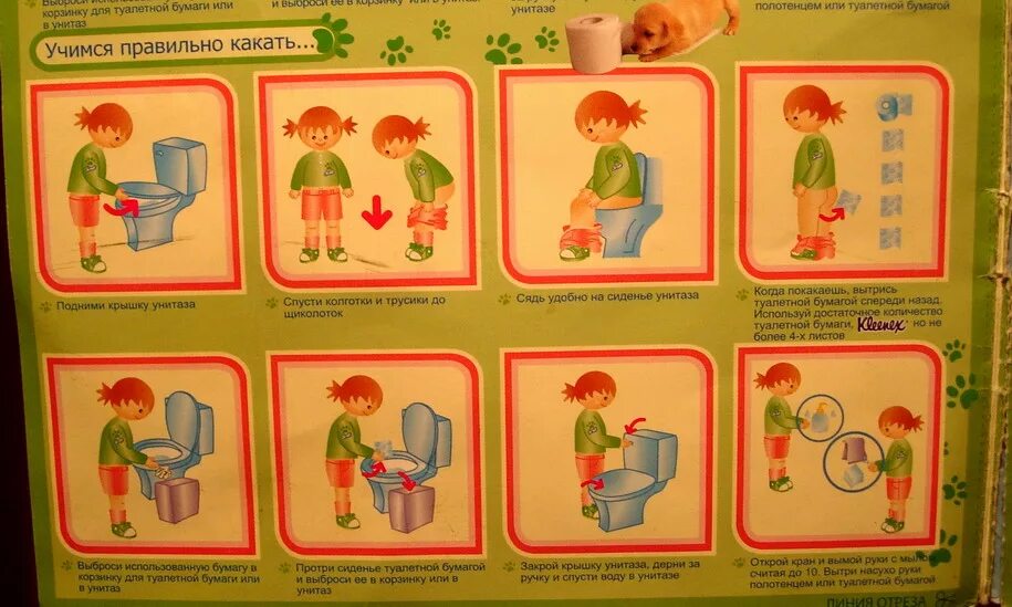Kak pravilno ru. Правила пользования туалетом. Алгоритм пользования туалетом. Правила туалета для детей. Алгоритм посещения туалета в детском саду.